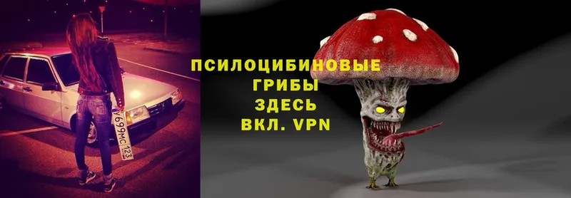 Псилоцибиновые грибы Magic Shrooms  Братск 